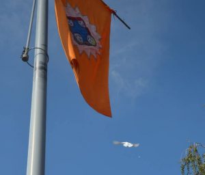zastava i golub 