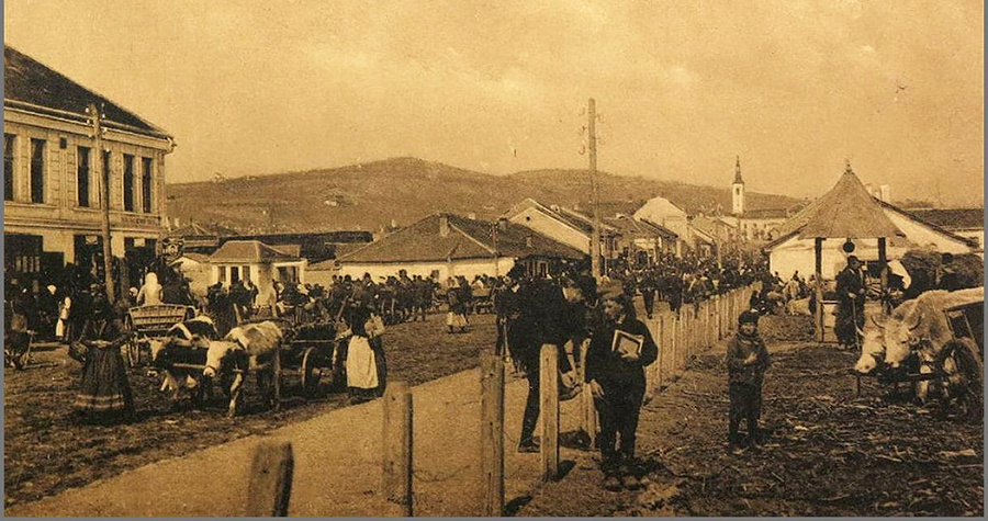aleksinac 1916. godine