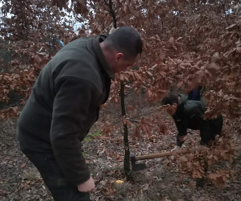 Данас је Бадњи дан