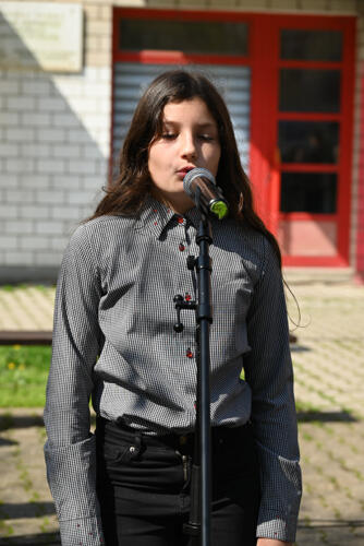 DSC 4234