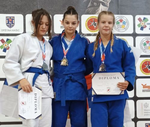 IMG-b83429ce294de02fa3d89adcd21e0def-V