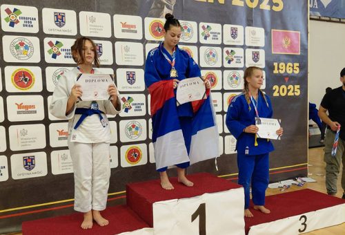 IMG-cc28205b8a9fa1199a8940c2762e4907-V