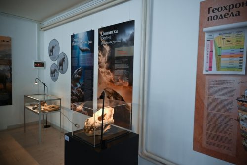 Fosili-3-1-of-1 800x534