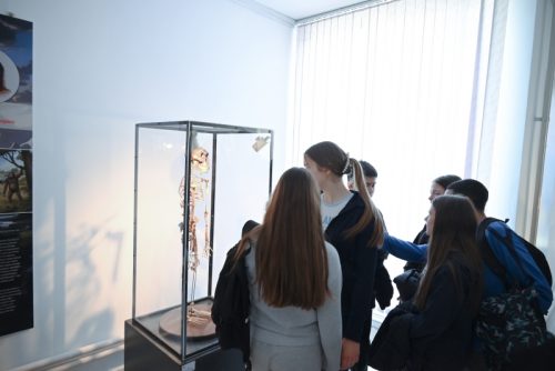 Fosili-4-1-of-1 800x534