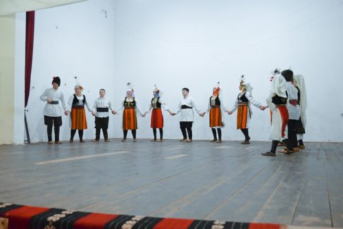 Godisnji-koncert-KUD-Zitkovac-103-1-of-1 800x534