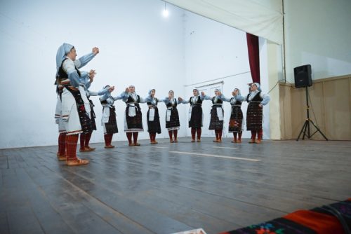 Godisnji-koncert-KUD-Zitkovac-64-1-of-1 800x534