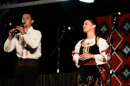 DSC 8817