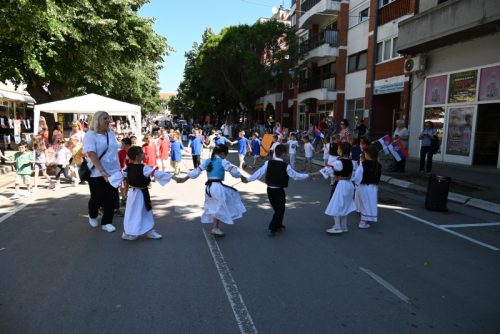 DSC 7590 800x534