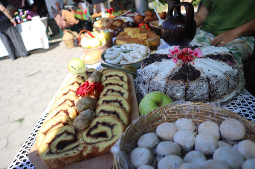 IMG 27491
