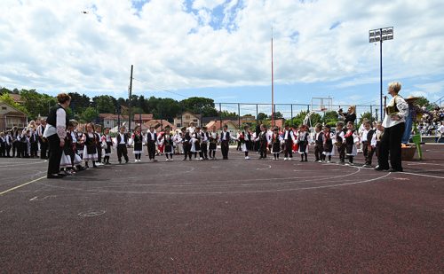 DSC 7911