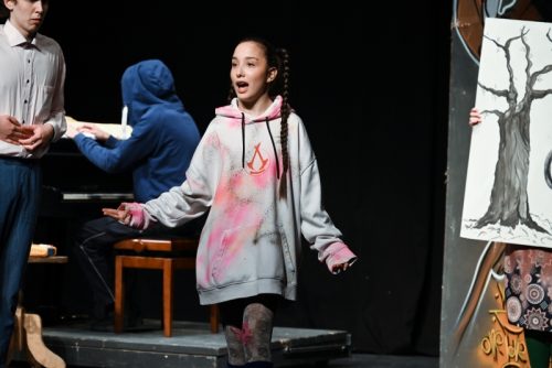 Pipi-Dugocarapic-19-1-of-1 800x534