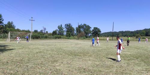 IMG-9d2768785dcdbb7afd4b12c17c1e0d8d-V